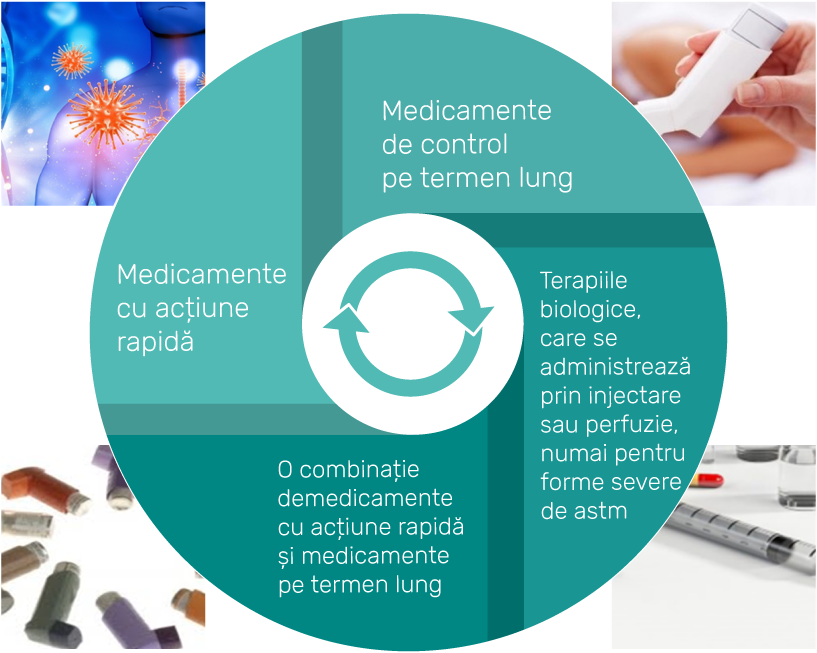 planuri de ingrijire